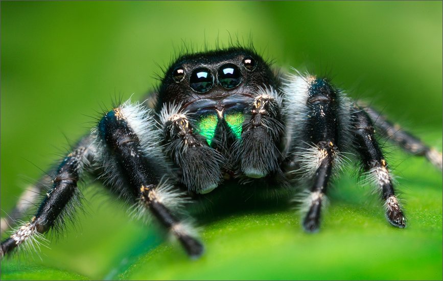 Bold Jumper Booklink Booksellers